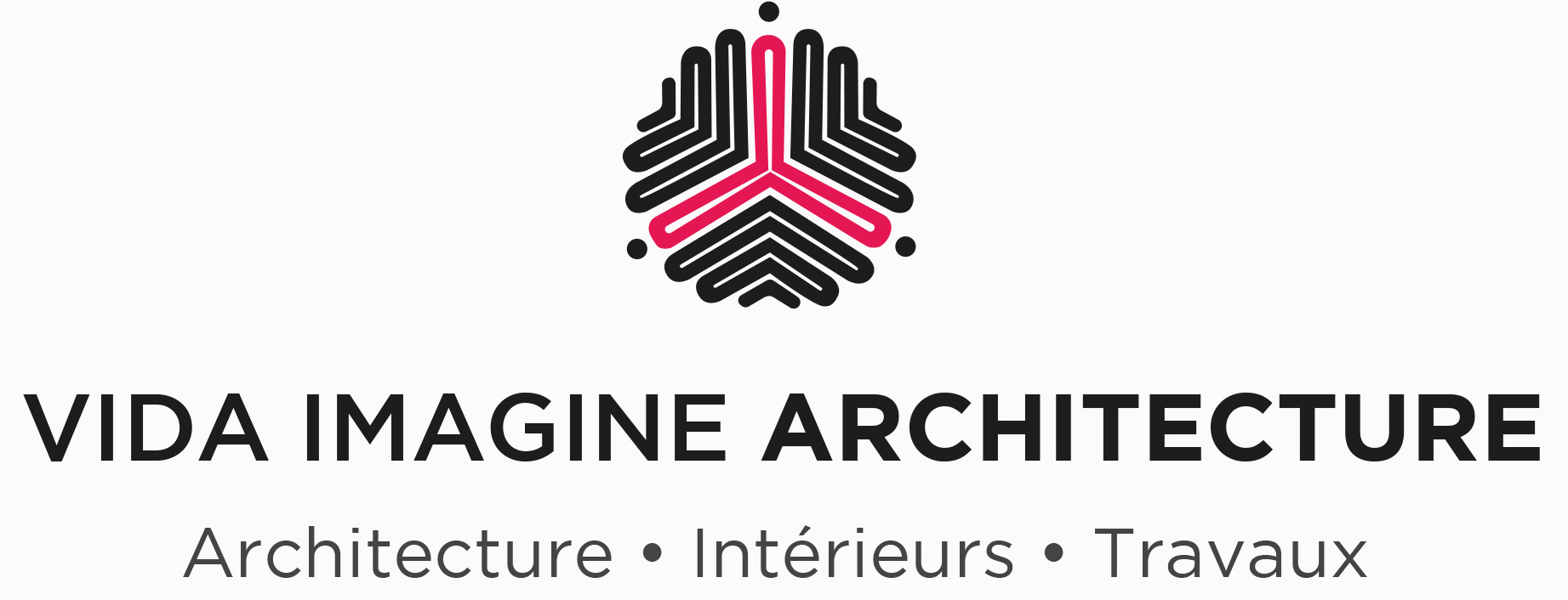 LOGO VIDA IMAGINE sasu